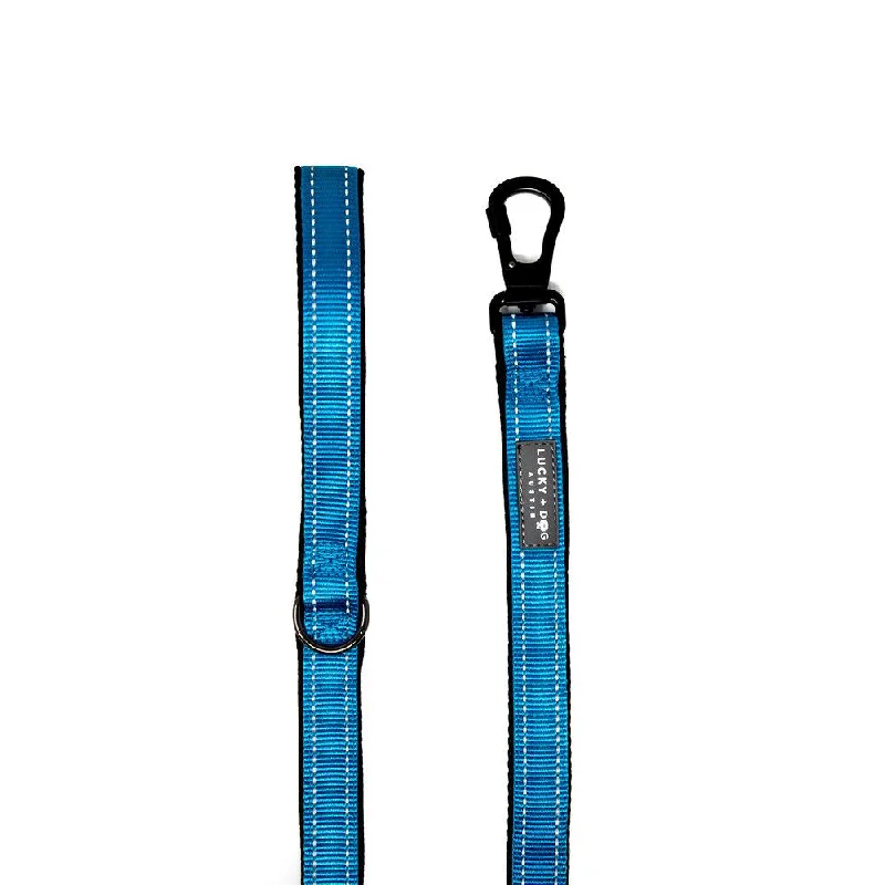 Harness Leash - Light Blue