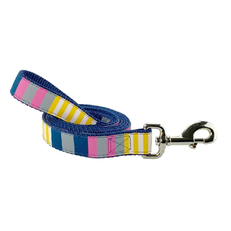 Sunshine Stripe - Dog Leash