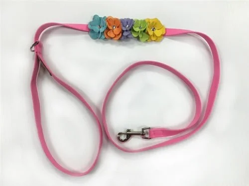 Susan Lanci Rainbow Tinkies Garden Dog Leash