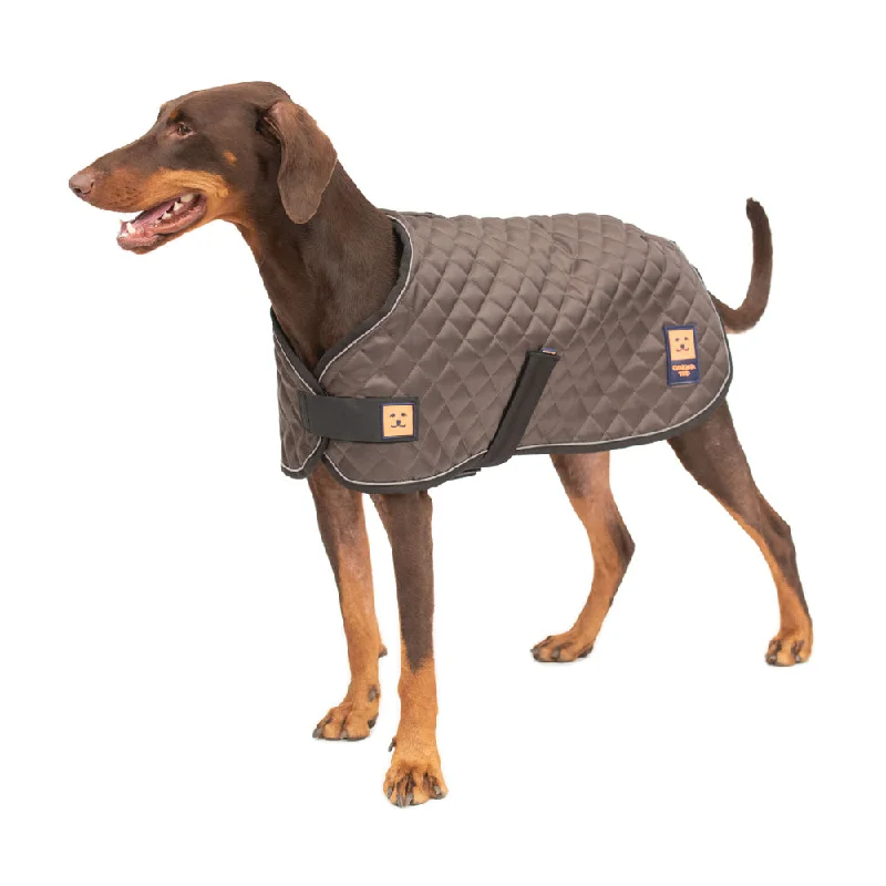 Thermal Harness Quilted Dog Coat