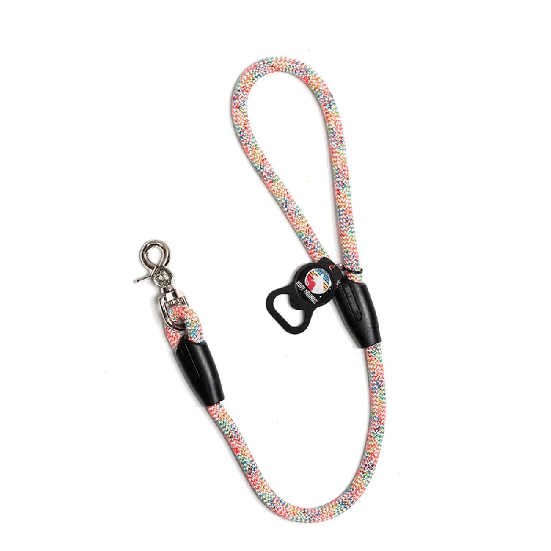 2' Dog Traffic Lead - Multicolor