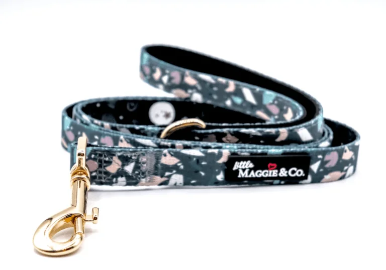 "Wiggles" Leash