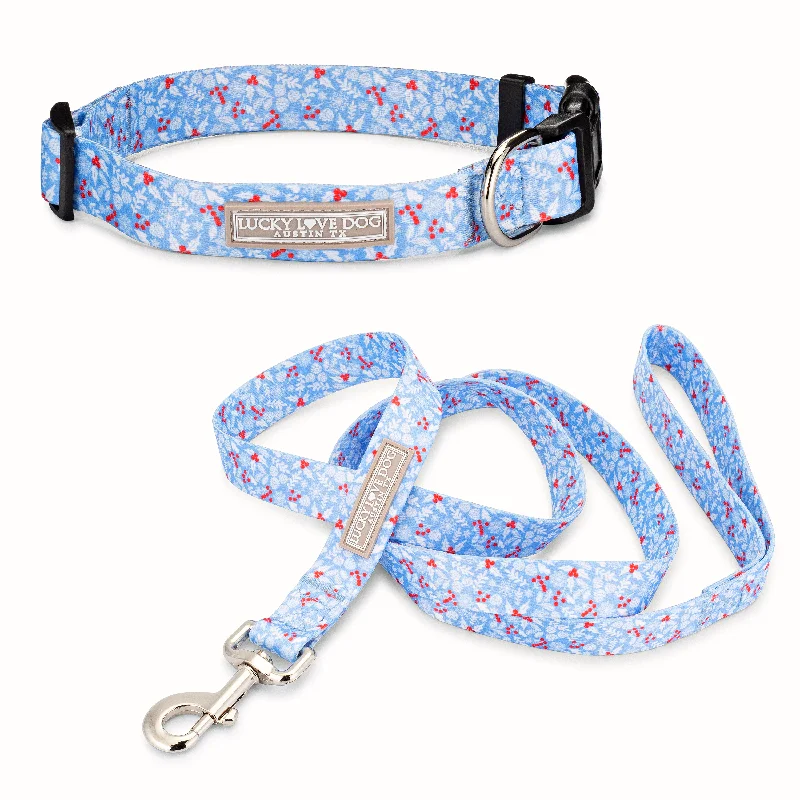 Winter Blue Dog Collar