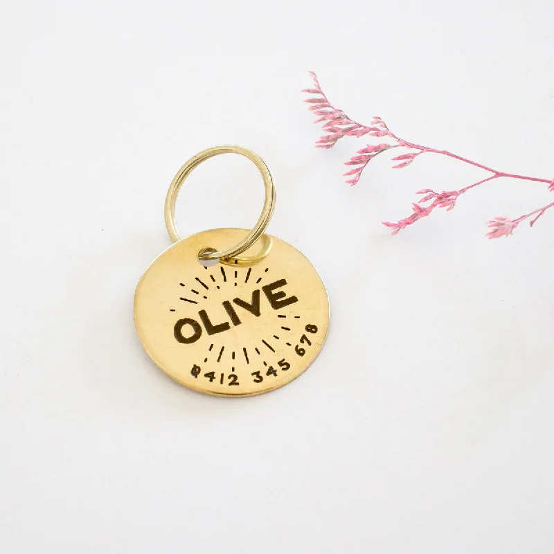 Personalised Brass Starburst Design Animal ID Tag